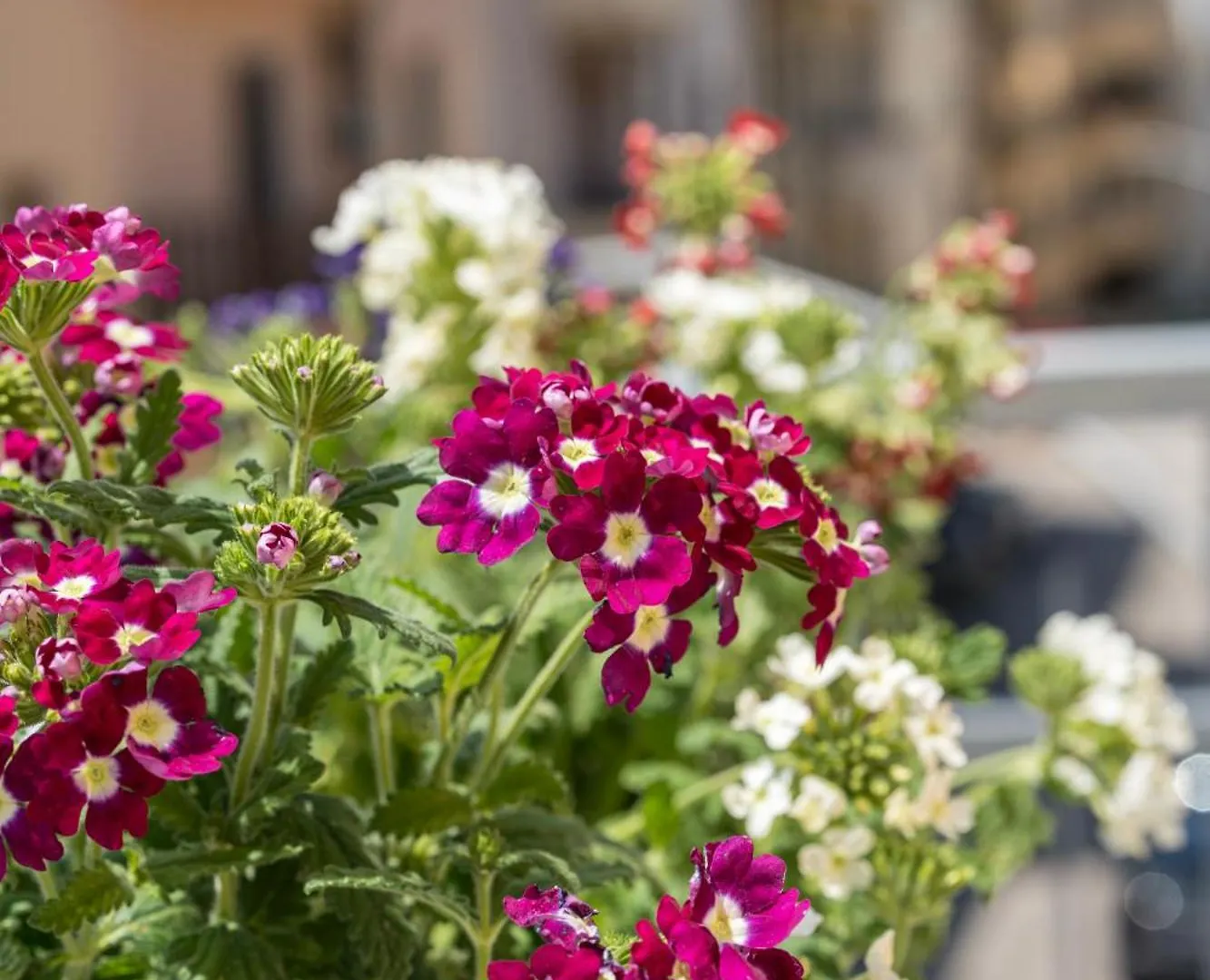 B&B S'Unda Jara Alghero